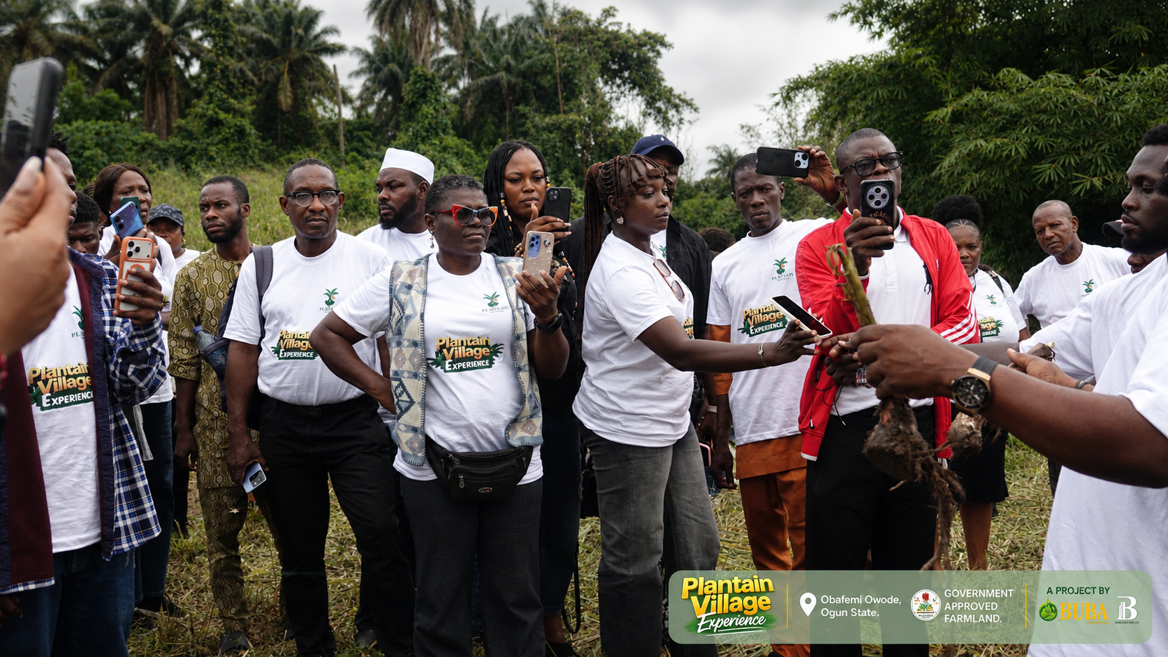 Plantain Tour Image